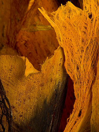 fiery spirit detail
